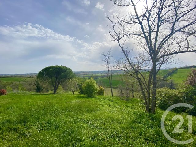 Afficher la photo en grand maison à vendre - 10 pièces - 280.38 m2 - MONTAUBAN - 82 - MIDI-PYRENEES - Century 21 Riquelme Immobilier