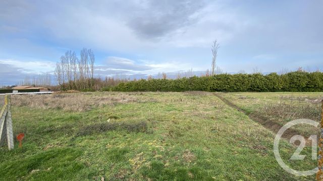 terrain à vendre - 1879.0 m2 - MONTAUBAN - 82 - MIDI-PYRENEES - Century 21 Riquelme Immobilier terrain à vendre - 1879.0 m2 - MONTAUBAN - 82 - MIDI-PYRENEES - Century 21 Riquelme Immobilier