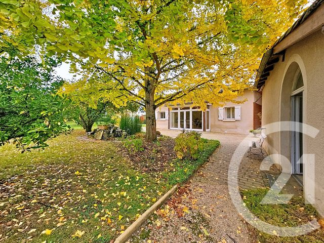 maison - ST ETIENNE DE TULMONT - 82