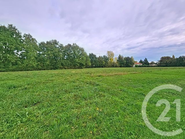 Afficher la photo en grand maison à vendre - 6 pièces - 237.7 m2 - ST ETIENNE DE TULMONT - 82 - MIDI-PYRENEES - Century 21 Riquelme Immobilier