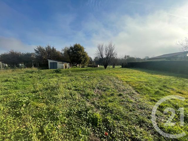 terrain à vendre - 955.0 m2 - ST ETIENNE DE TULMONT - 82 - MIDI-PYRENEES - Century 21 Riquelme Immobilier