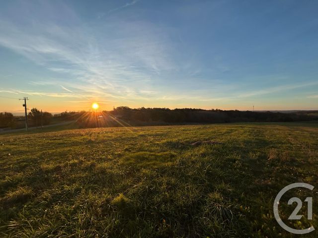 terrain à vendre - 7228.0 m2 - PIQUECOS - 82 - MIDI-PYRENEES - Century 21 Riquelme Immobilier