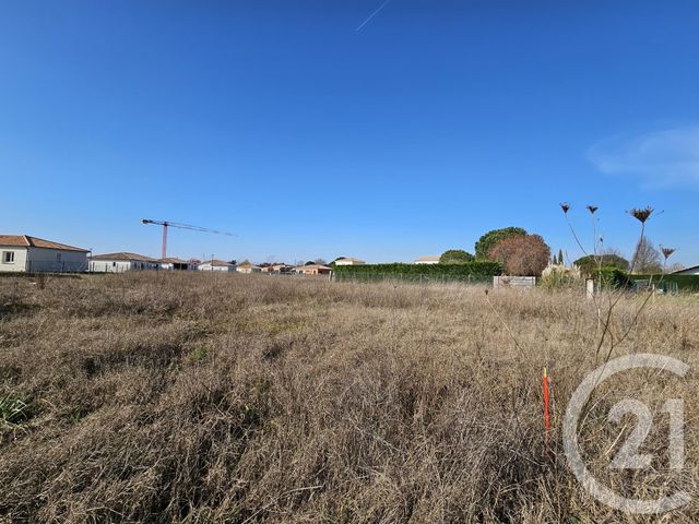 Afficher la photo en grand terrain à vendre - 815.0 m2 - MONTBETON - 82 - MIDI-PYRENEES - Century 21 Riquelme Immobilier