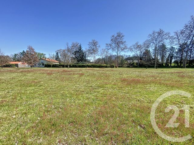 terrain à vendre - 1257.0 m2 - LABASTIDE ST PIERRE - 82 - MIDI-PYRENEES - Century 21 Riquelme Immobilier