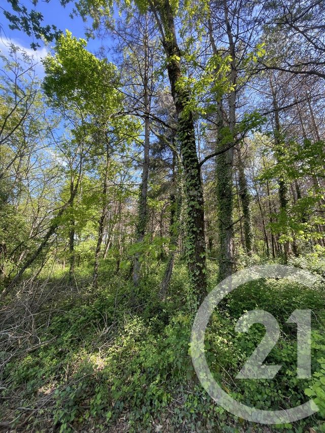 terrain à vendre - 34774.0 m2 - MONTAUBAN - 82 - MIDI-PYRENEES - Century 21 Riquelme Immobilier