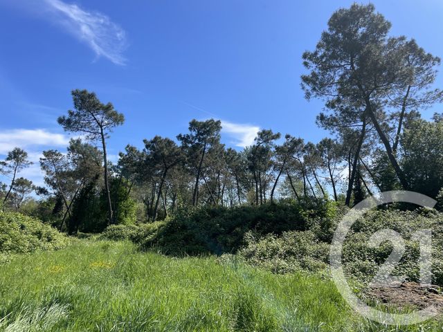 terrain - MONTAUBAN - 82