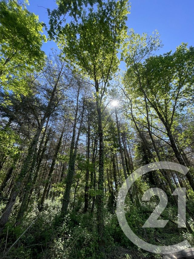 terrain à vendre - 34774.0 m2 - MONTAUBAN - 82 - MIDI-PYRENEES - Century 21 Riquelme Immobilier