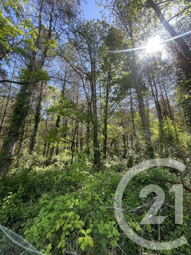 terrain à vendre - 34774.0 m2 - MONTAUBAN - 82 - MIDI-PYRENEES - Century 21 Riquelme Immobilier
