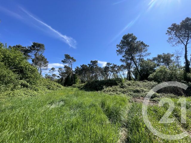 terrain à vendre - 34774.0 m2 - MONTAUBAN - 82 - MIDI-PYRENEES - Century 21 Riquelme Immobilier