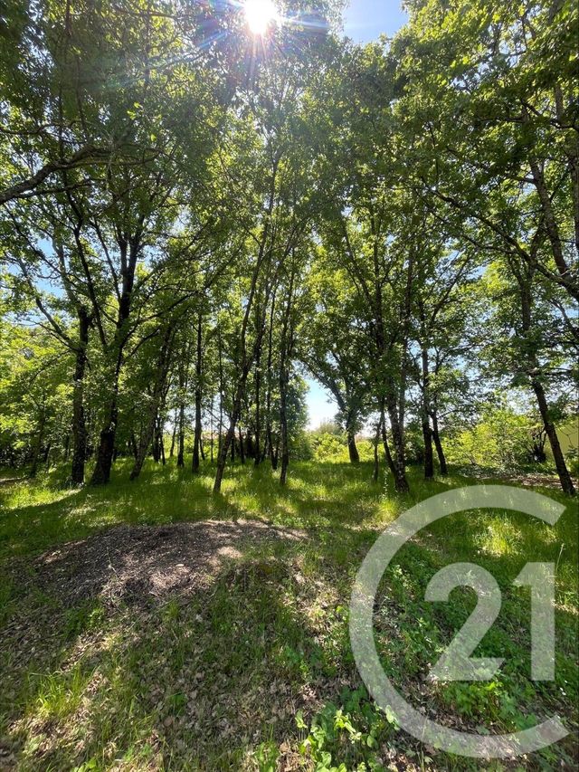 terrain à vendre - 2105.0 m2 - MONTAUBAN - 82 - MIDI-PYRENEES - Century 21 Riquelme Immobilier
