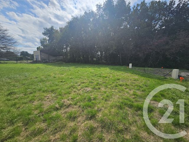 terrain à vendre - 606.0 m2 - MONTBARTIER - 82 - MIDI-PYRENEES - Century 21 Riquelme Immobilier