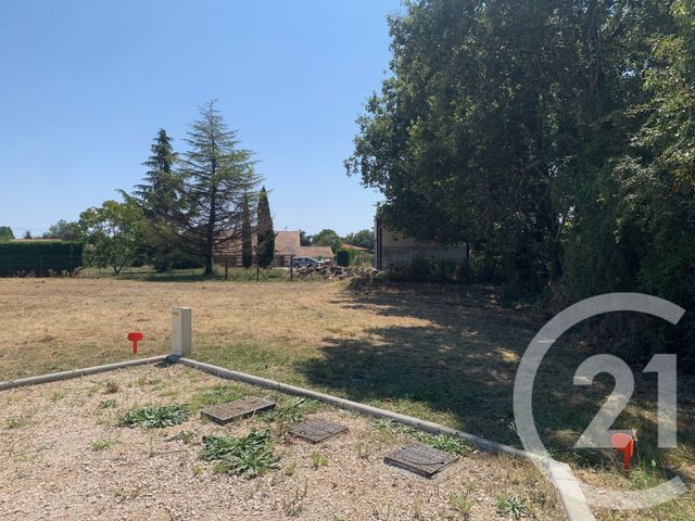 terrain - MONTBARTIER - 82