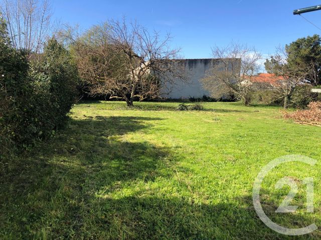 maison à vendre - 6 pièces - 125.0 m2 - MONTAUBAN - 82 - MIDI-PYRENEES - Century 21 Riquelme Immobilier