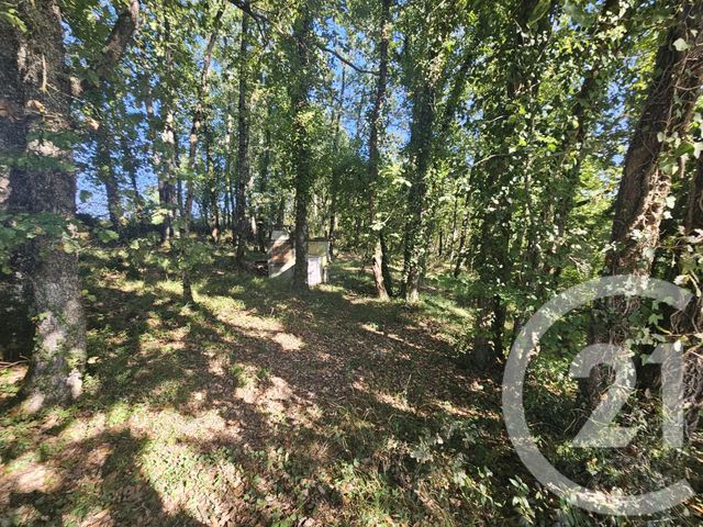 maison à vendre - 6 pièces - 162.0 m2 - VAISSAC - 82 - MIDI-PYRENEES - Century 21 Riquelme Immobilier