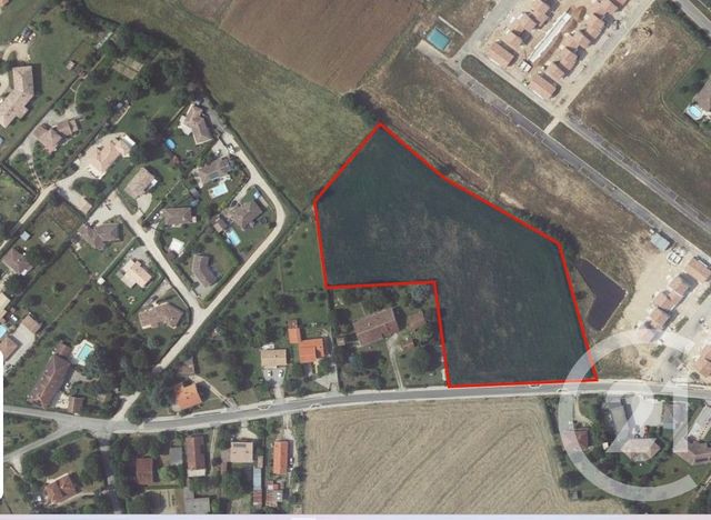 terrain à vendre - 13760.0 m2 - NEGREPELISSE - 82 - MIDI-PYRENEES - Century 21 Riquelme Immobilier