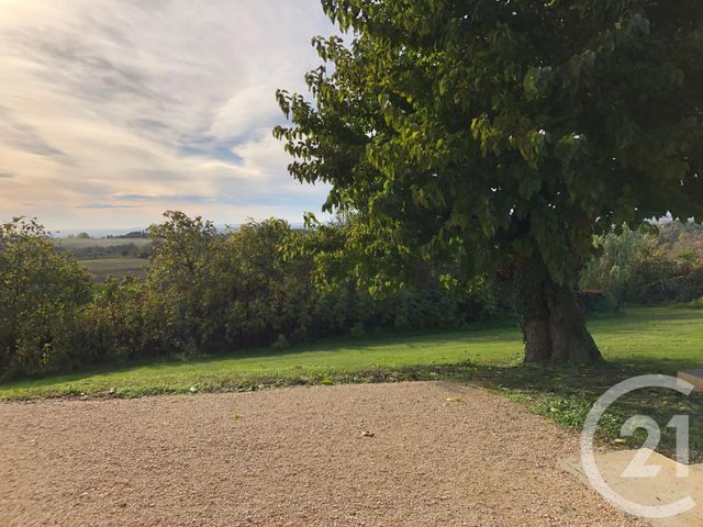 maison à louer - 3 pièces - 85.0 m2 - MONTAUBAN - 82 - MIDI-PYRENEES - Century 21 Riquelme Immobilier